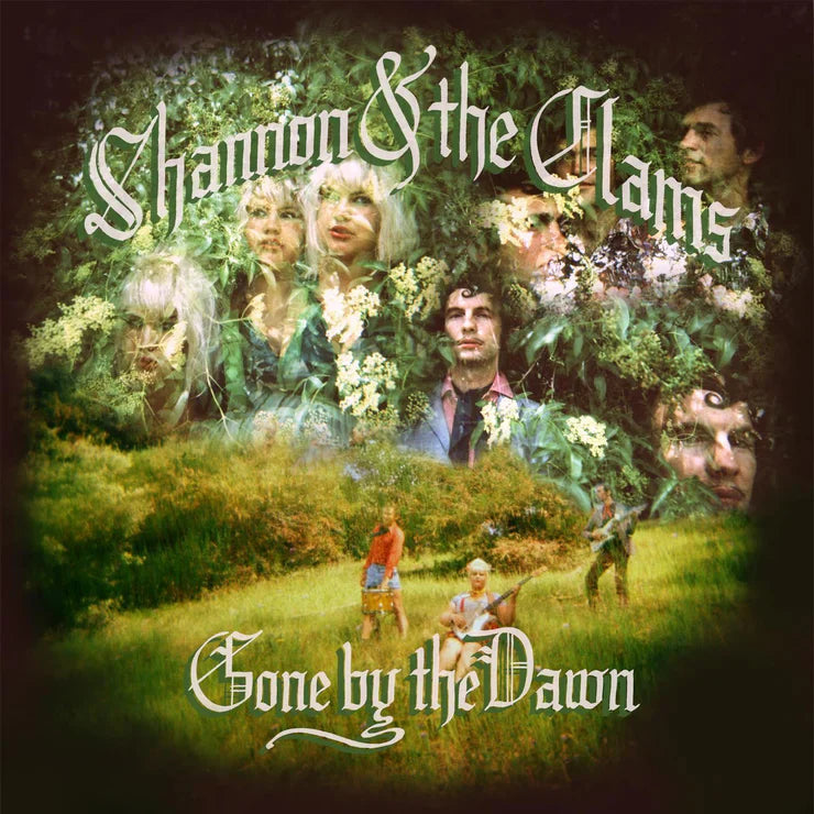 Shannon and the Clams - Gone By the Dawn (Vinyl LP)
