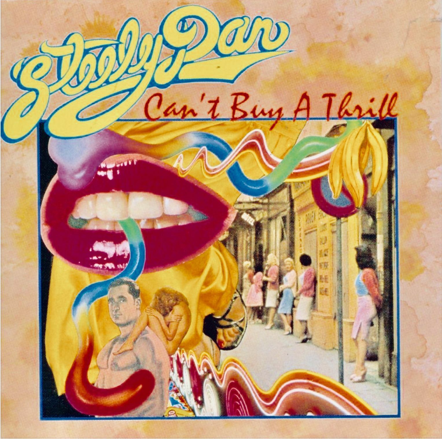 Steely Dan - Can't Buy a Thrill (Vinyl LP)