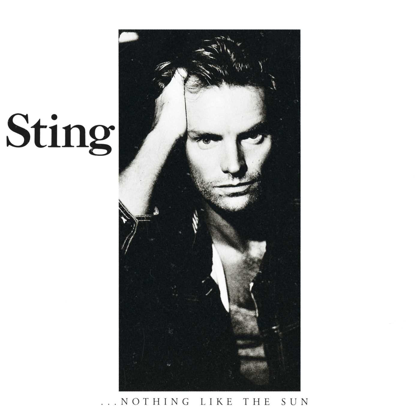 Sting - Nothing Like the Sun (Vinyl LP)