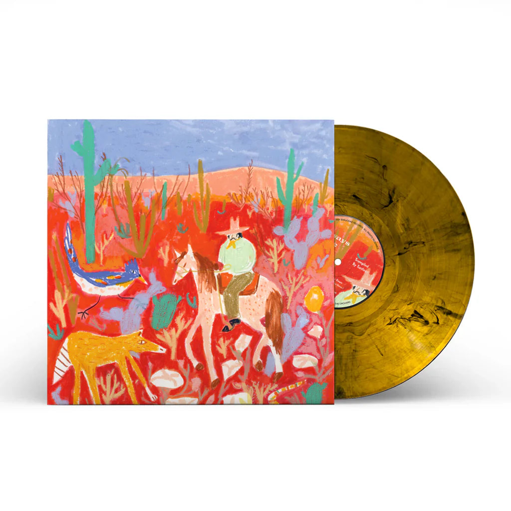 Trampled By Turtles & Dead Man Winter - Always Here, Always Now (Vinyl LP)