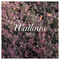 Wallows - Spring (Vinyl LP)