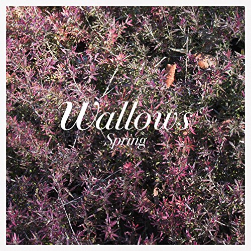 Wallows - Spring (Vinyl LP)
