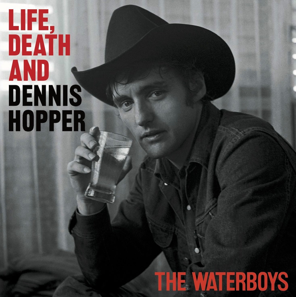 Waterboys - Life , Death, And Dennis Hopper (Vinyl LP)