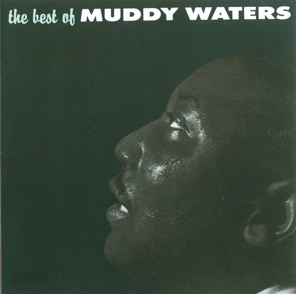 Waters, Muddy - Best of Muddy Waters (Vinyl LP)
