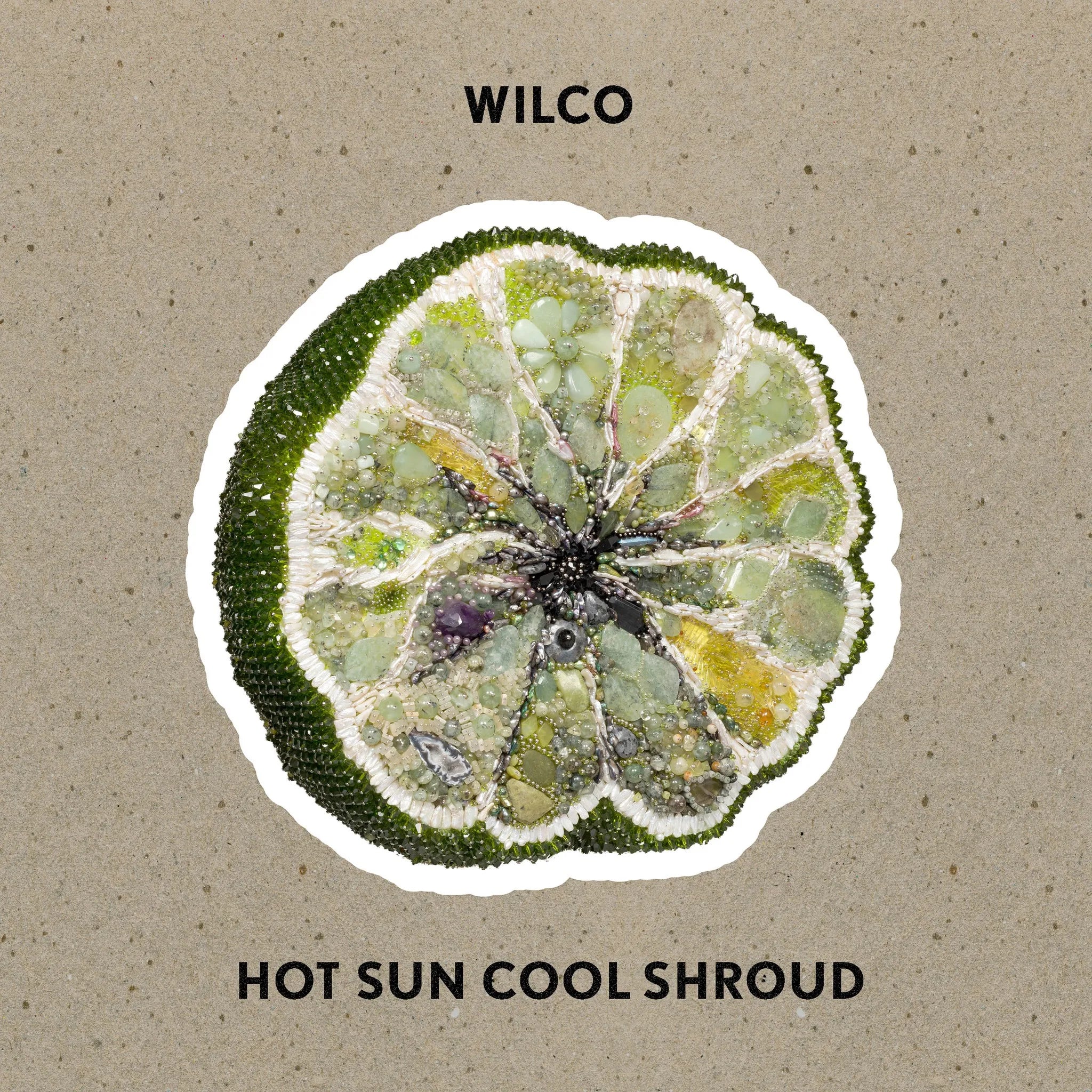 Wilco - Hot Sun Cool Shroud (Vinyl LP)