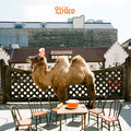 Wilco - Wilco (Vinyl LP)