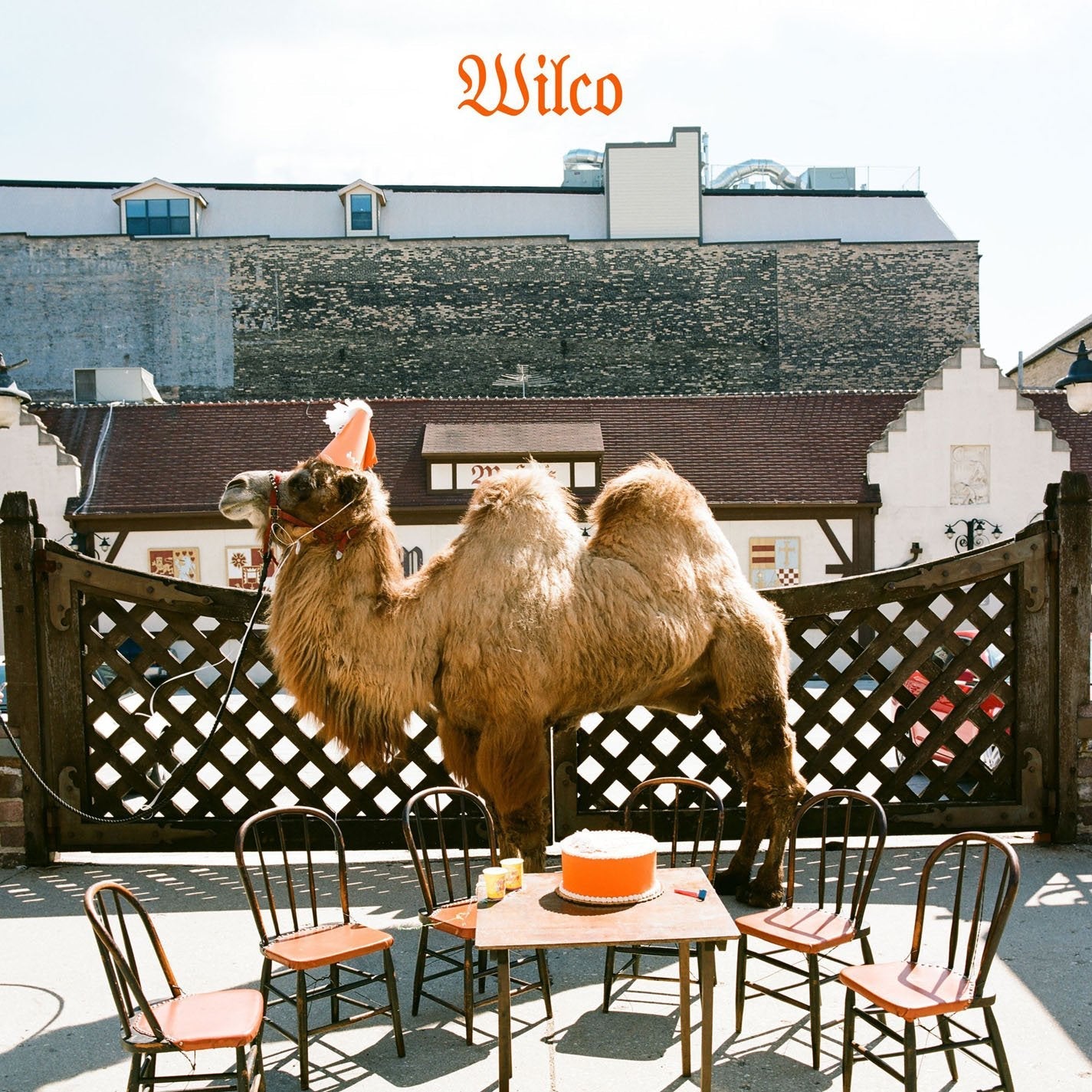 Wilco - Wilco (Vinyl LP)