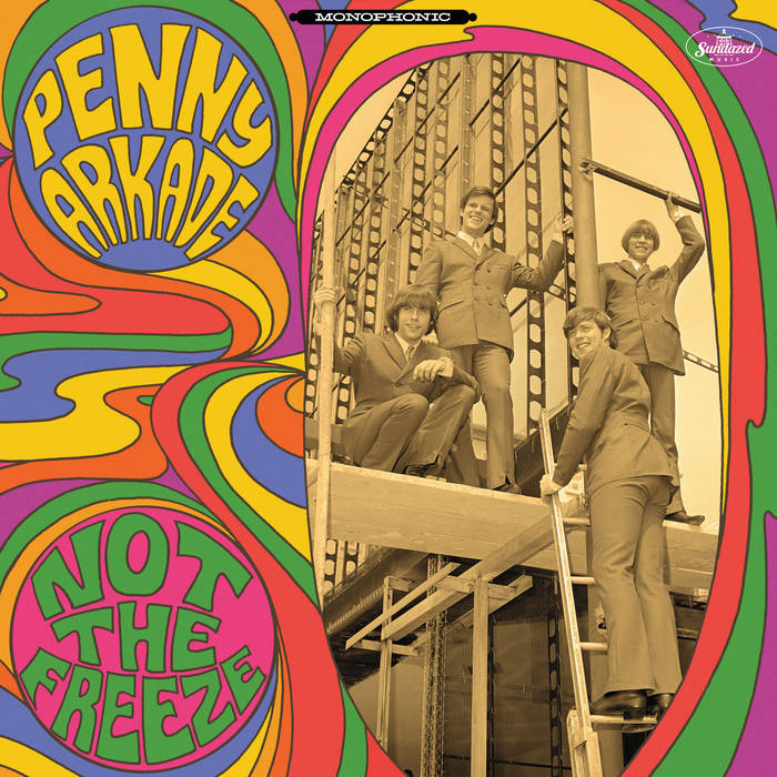 Penny Arkade - Not The Freeze (Vinyl LP)
