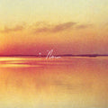 Shauf, Andy - Norm (Vinyl LP)