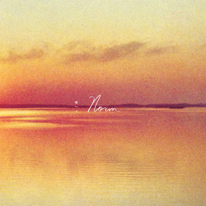 Shauf, Andy - Norm (Vinyl LP)