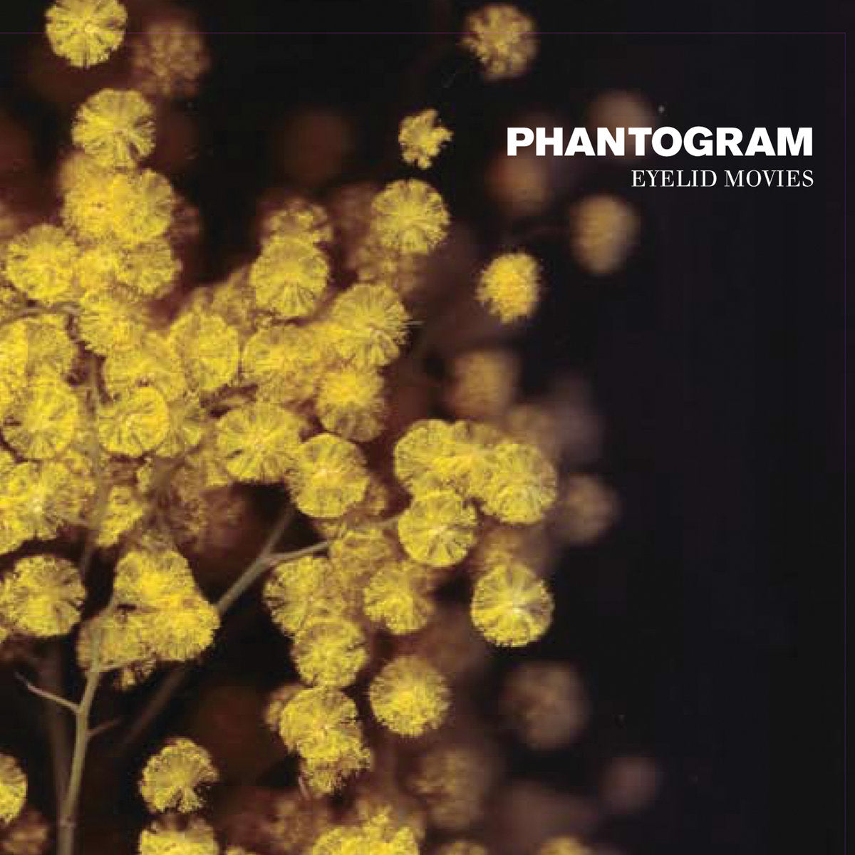 Phantogram - Eyelid Movies (Vinyl LP)