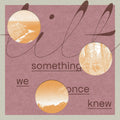 Tilt - Something We Once Knew (Vinyl LP)