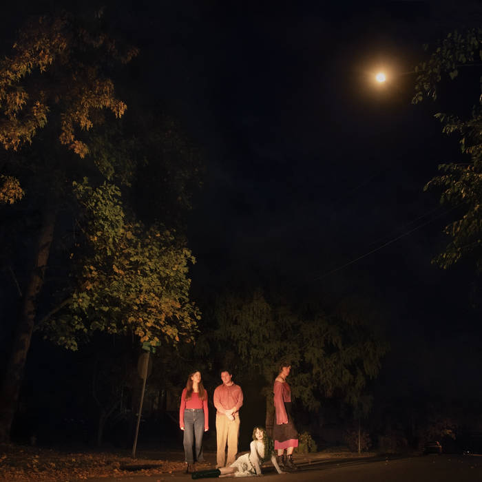 Ophelias - Spring Grove (Vinyl LP)
