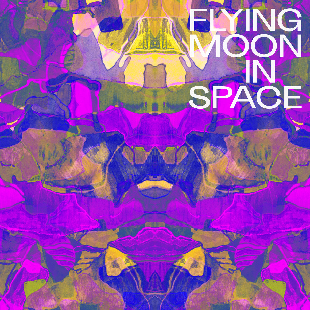 Flying Moon in Space - Flying Moon in Space (Vinyl LP)