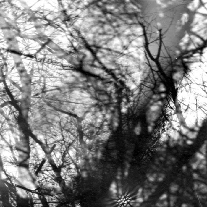 Grouper - Way Their Crept (Vinyl LP)