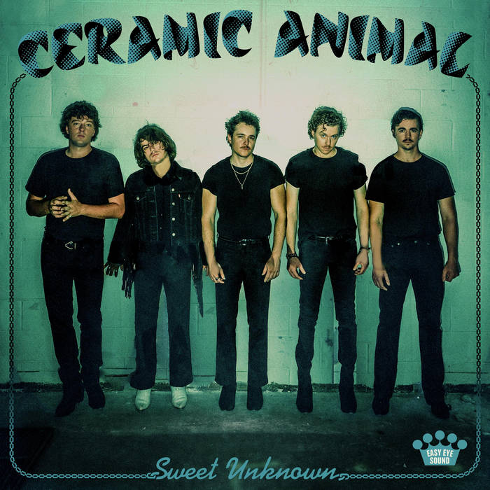 Ceramic Animal - Sweet Unknown (Vinyl LP)
