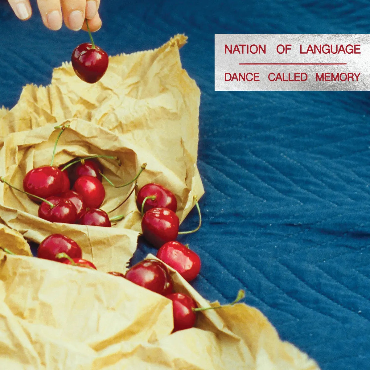 Nation Of Language - Dance Called Memory (Vinyl LP)