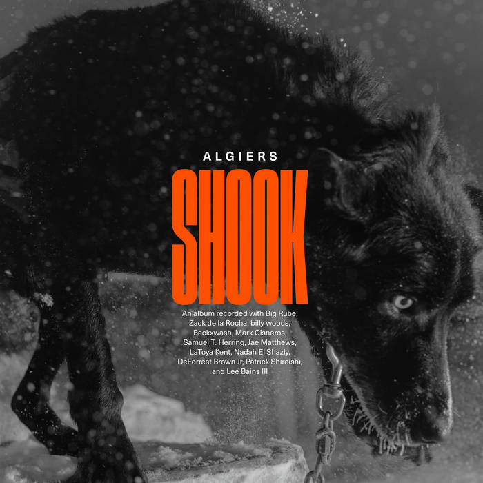 Algiers - Shook (Vinyl LP)