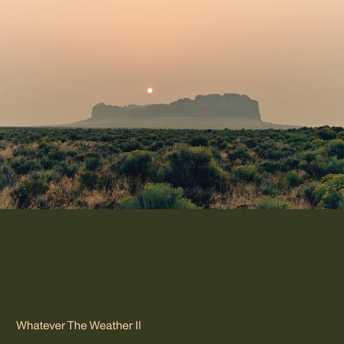 Whatever The Weather - Whatever The Weather II (Vinyl LP)