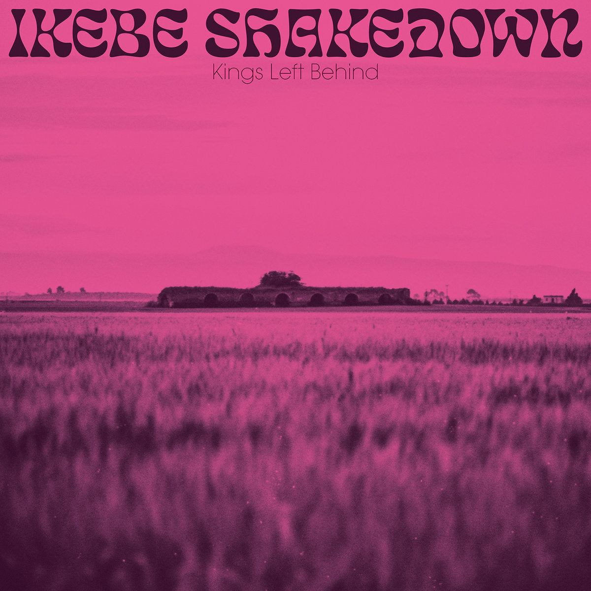 Ikebe Shakedown - Kings Left Behind (Vinyl LP)
