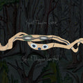 Animal Collective - Spirit They're Gone, Spirit They've Vanished (Vinyl LP)
