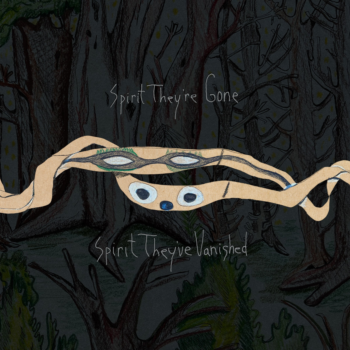 Animal Collective - Spirit They're Gone, Spirit They've Vanished (Vinyl LP)