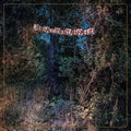 Eyelids - The Accidental Falls (Vinyl LP)
