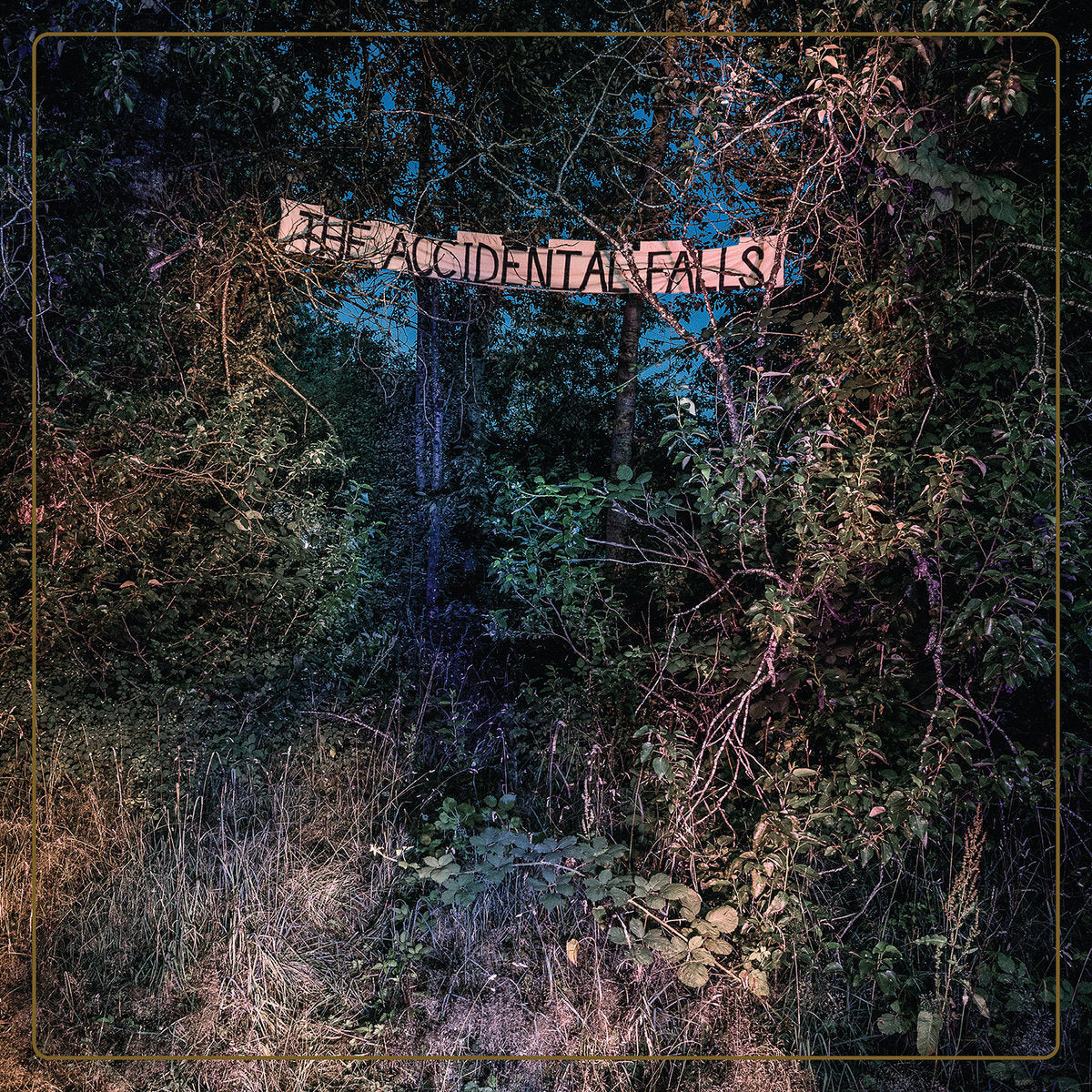 Eyelids - The Accidental Falls (Vinyl LP)