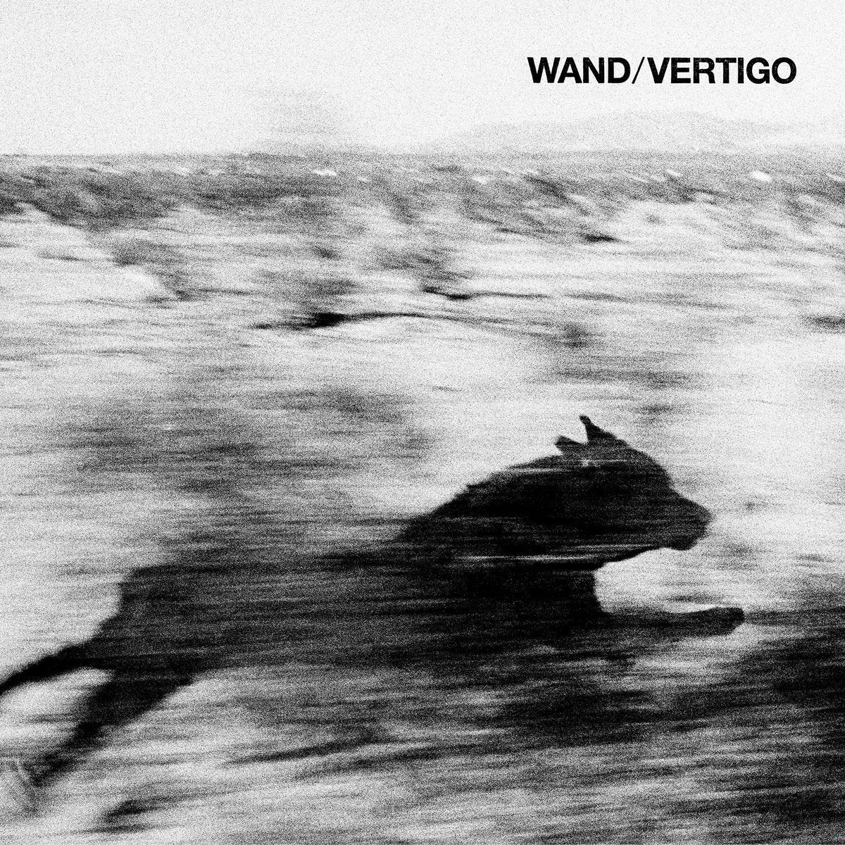 Wand - Vertigo (Vinyl LP)