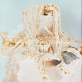 Pale Saints - In Ribbons 30th Anniversary Reissue (Vinyl LP)