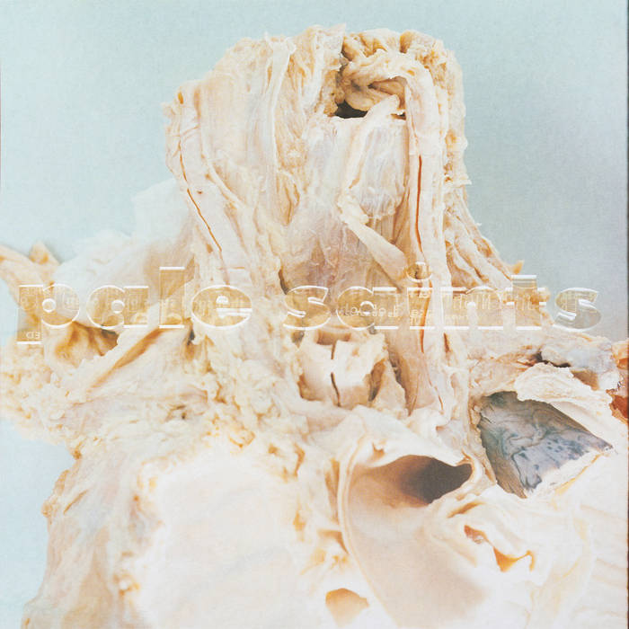 Pale Saints - In Ribbons 30th Anniversary Reissue (Vinyl LP)