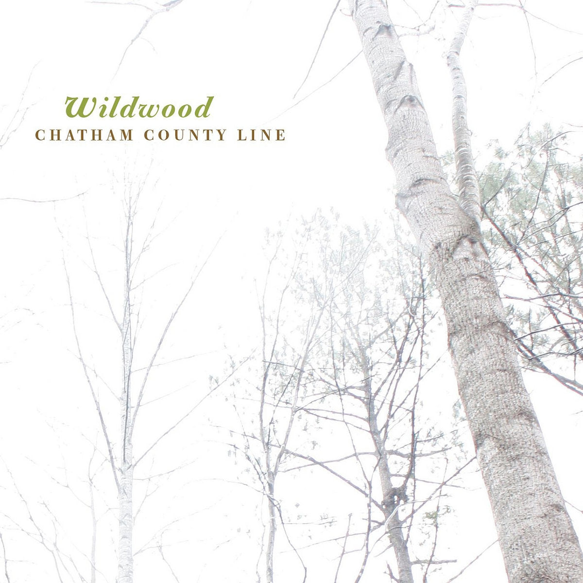 Chatham County Line - Wildwood (Translucent Vinyl) (Vinyl LP)
