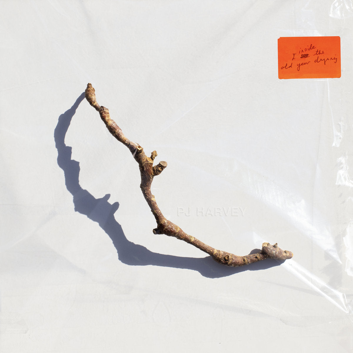 Harvey, PJ - I Inside The Old Year Dying (Vinyl LP)