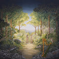 Barwick, Julianna & Mary Lattimore - Tragic Magic (Vinyl LP)