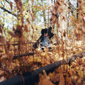 Woods, Billy - Golliwog (Vinyl LP)