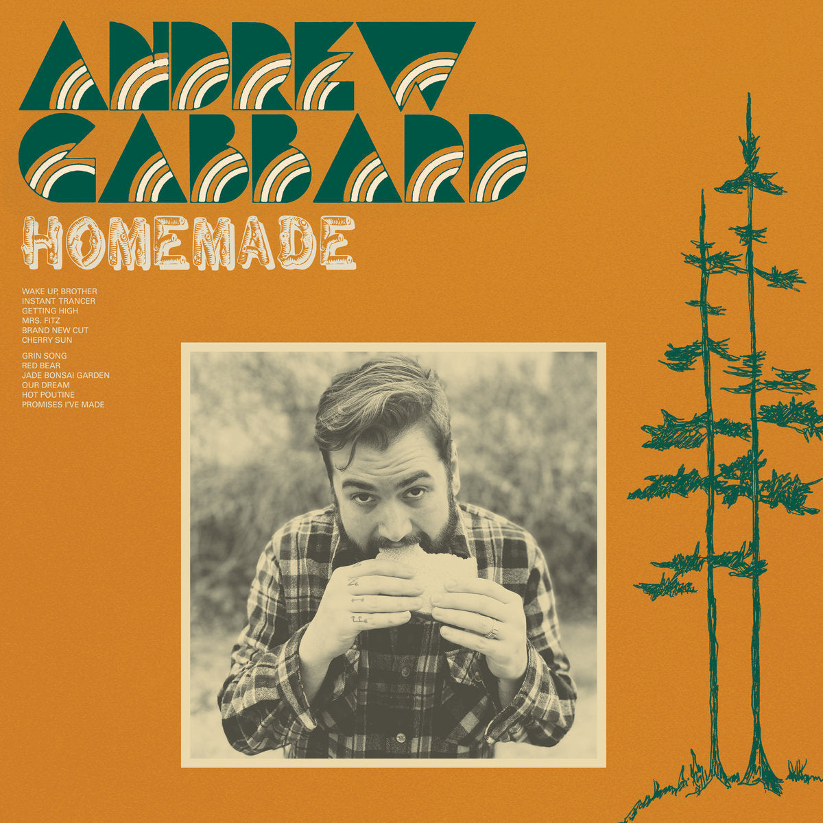 Gabbard, Andrew - Homemade (Vinyl LP)