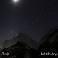 Mirah - Understanding (Vinyl LP)