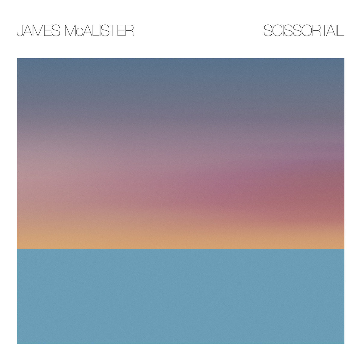 McAlister, James - Scissortail (Vinyl LP)