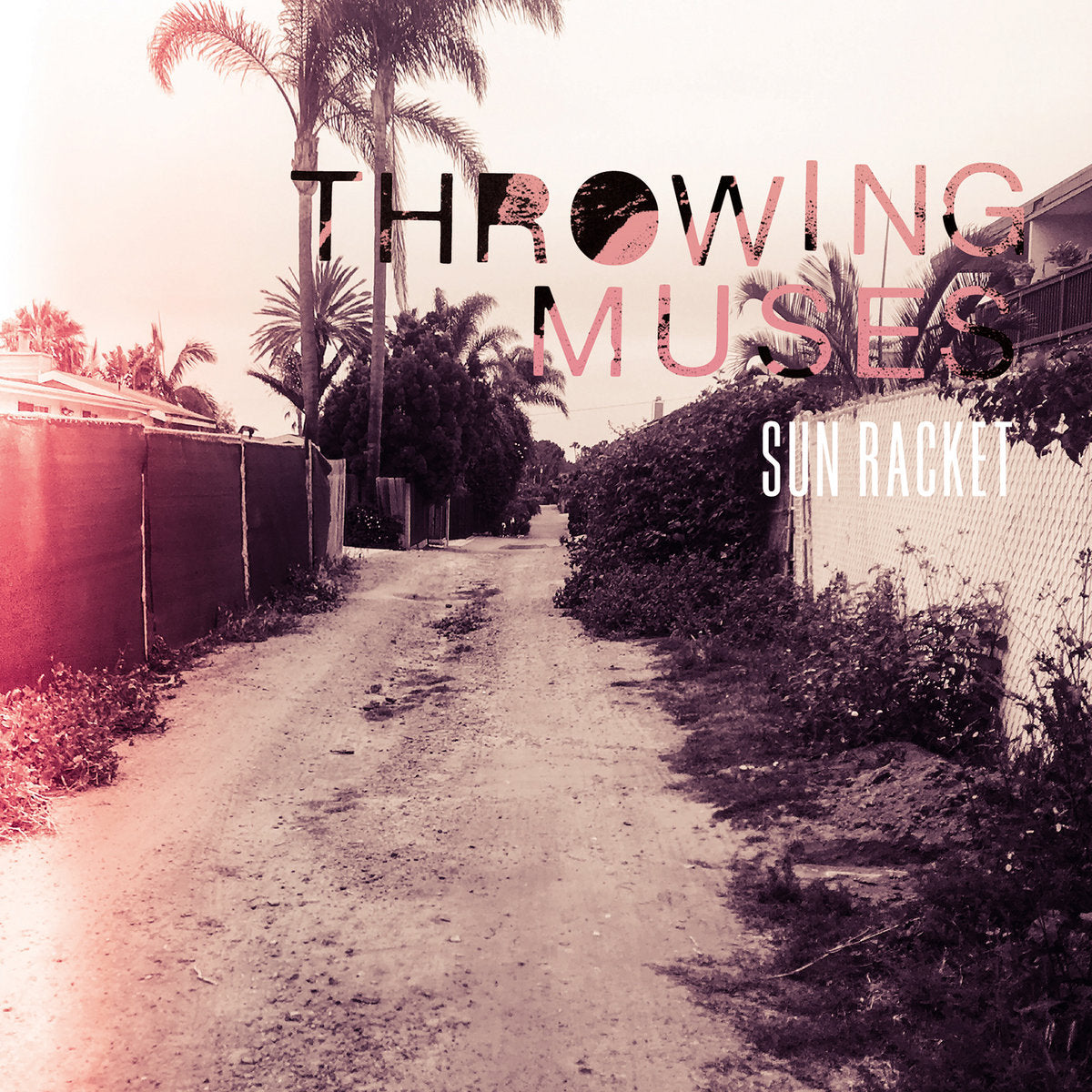 Throwing Muses - Sun Racket (Violet Vinyl) (Vinyl LP)
