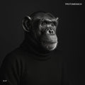 Felsmann + Tiley - Protomensch (Vinyl LP)