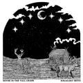 Kikagaku Moyo - House in the Tall Grass (Vinyl LP)