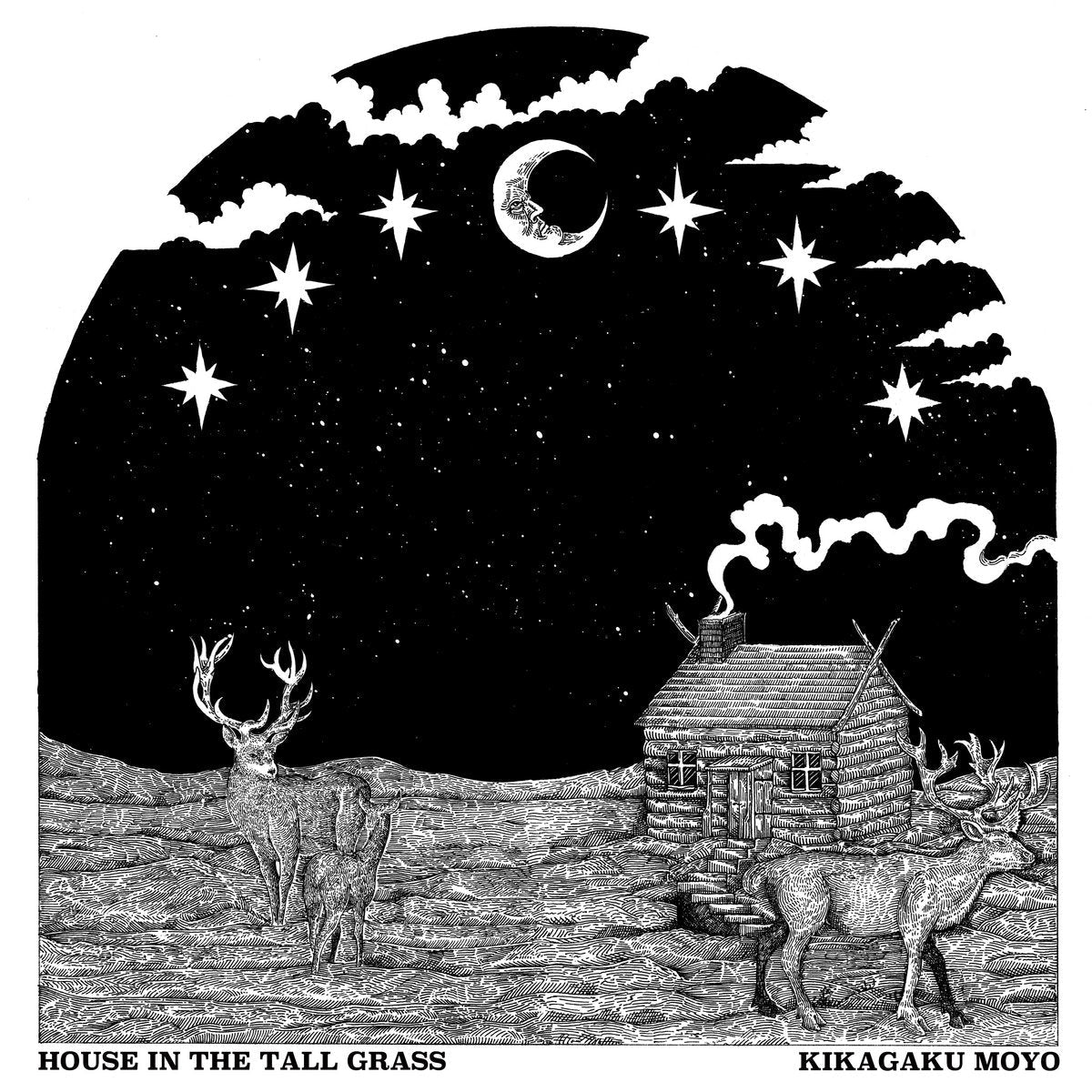 Kikagaku Moyo - House in the Tall Grass (Vinyl LP)