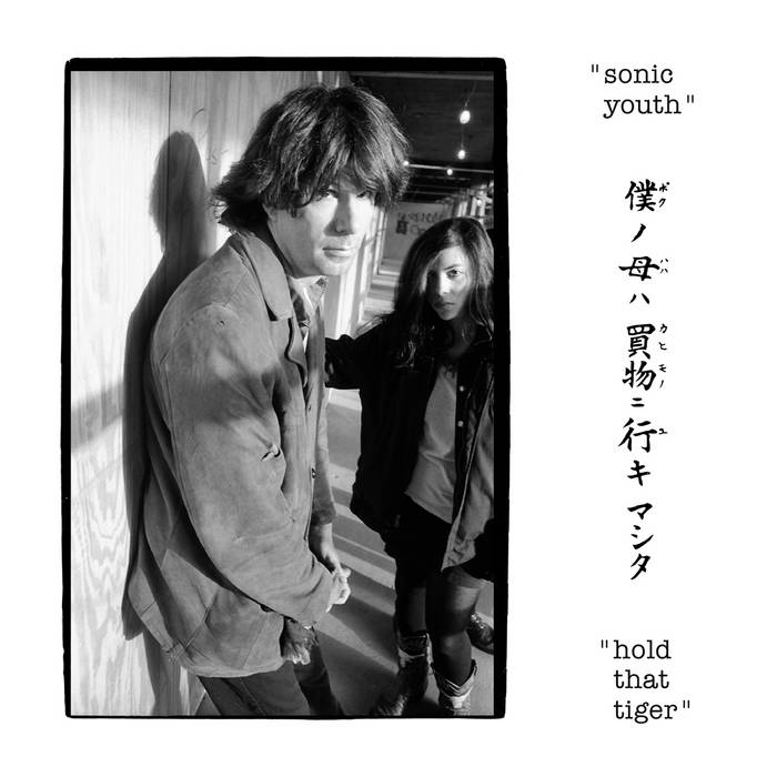 Sonic Youth - Hold That Tiger (Vinyl LP)