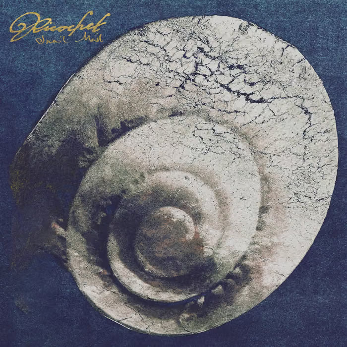 Snail Mail - Ricochet (Vinyl LP)