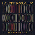 Karate Boogaloo - Hold Your Horses (Vinyl LP)