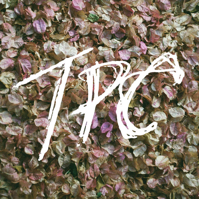 Tokyo Police Club - TPC (Vinyl LP)
