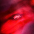 Saffronkeira & Siavash Amini - The Faded Orbit (Vinyl LP)