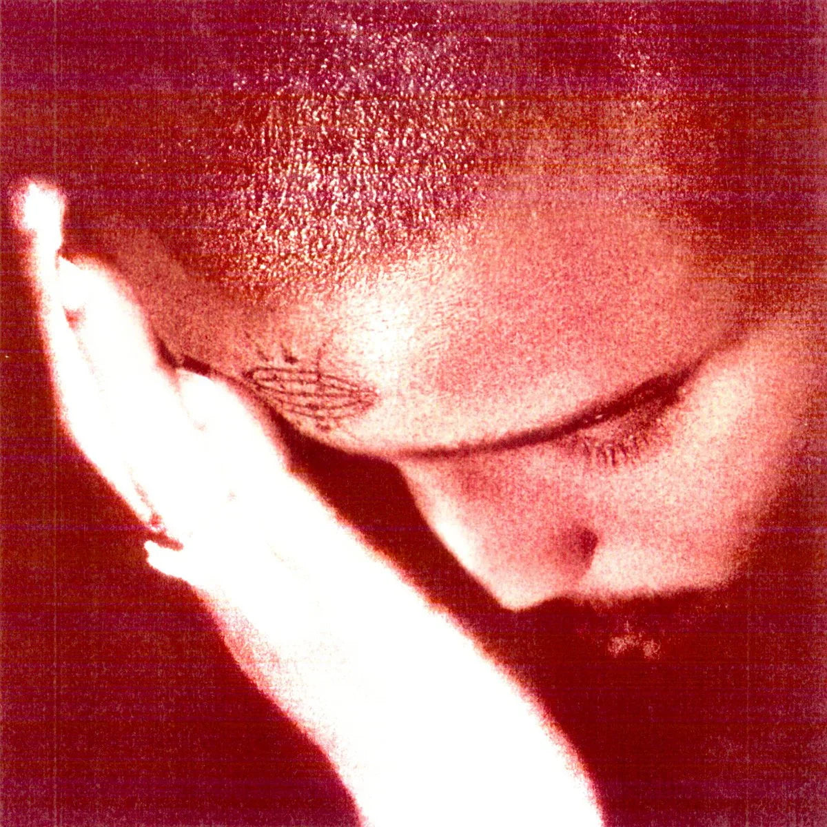 Nourished By Time - Passionate Ones (Vinyl LP)