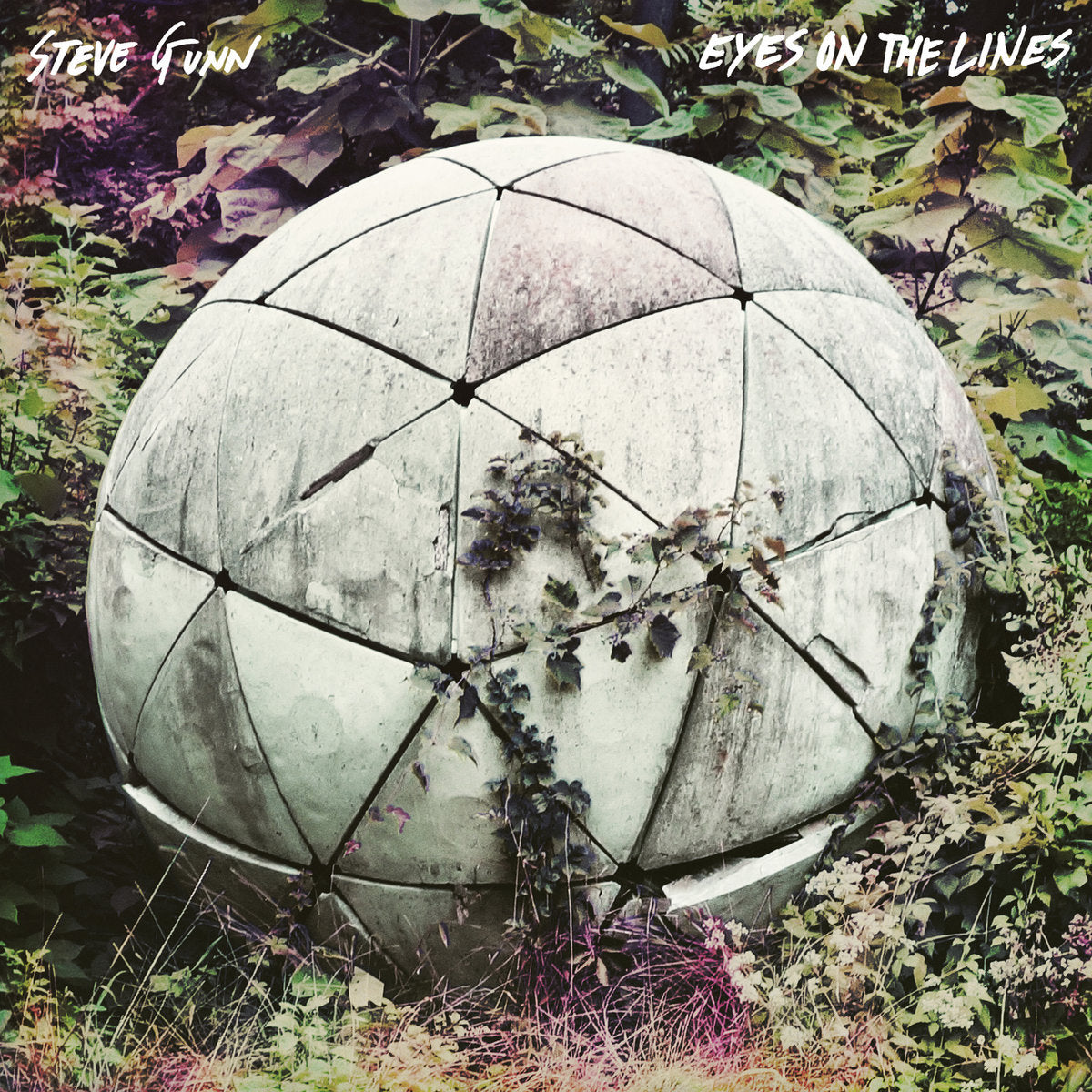 Gunn, Steve - Eyes on the Lines (Vinyl LP)