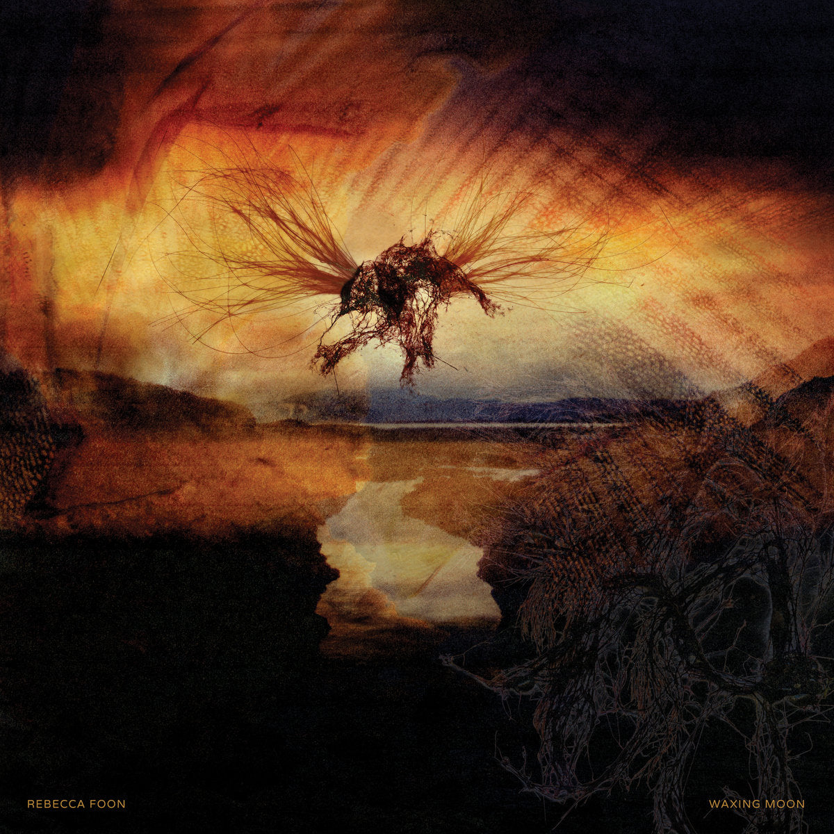 Foon, Rebecca - Waxing Moon (Vinyl LP)